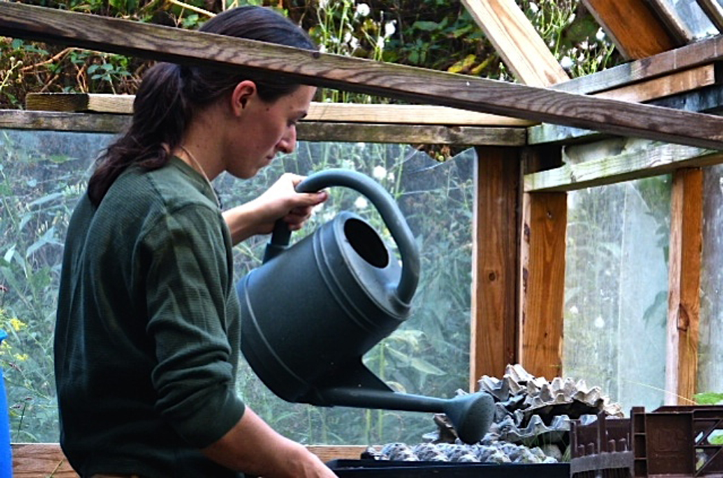 Zac English in the greenhouse